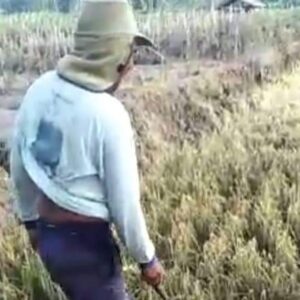 Pasca Bencana, LPBI NU Lumajang Lakukan Jitupasna Kepada Warga
